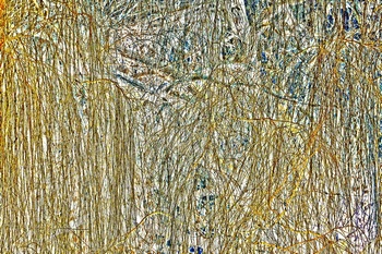 T 086B